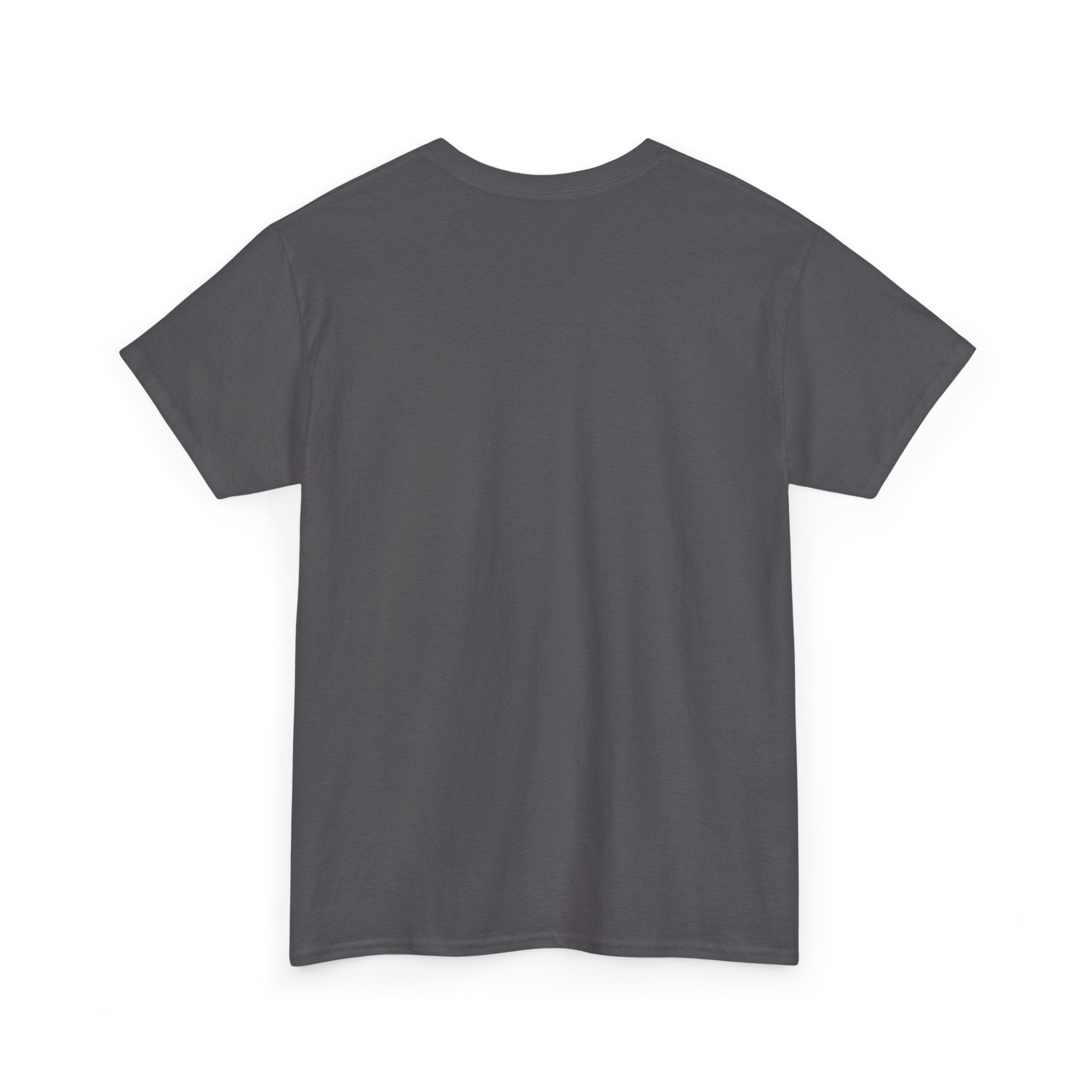 Bible Is My Weapon T‑Shirt — Christian Faith Graphic Tee (I Pull From The Hip)